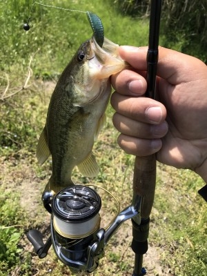 hideup 松本泰明 ブログ写真 2017/04/28