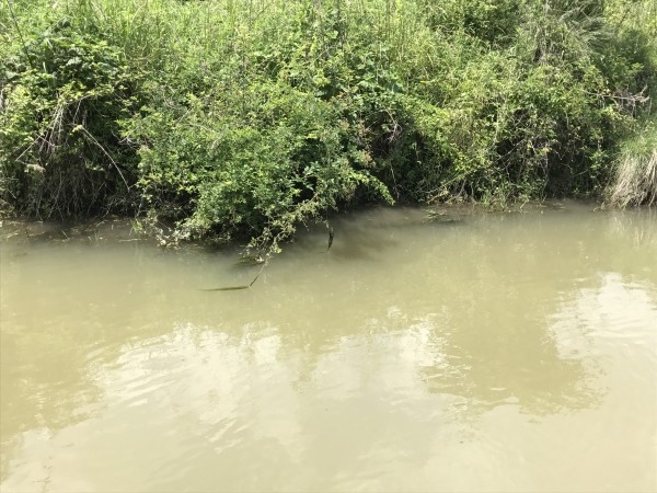 hideup 松本泰明 ブログ写真 2017/06/08