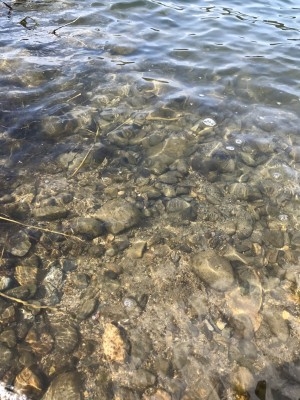 hideup 松本泰明 ブログ写真 2017/03/10