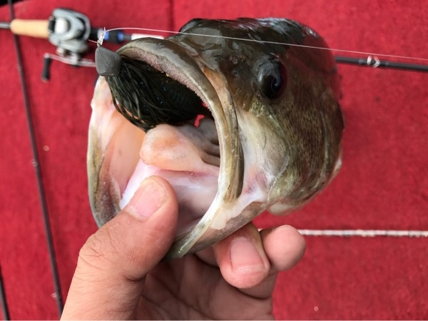 hideup 松本泰明 ブログ写真 2017/03/16