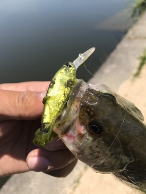 hideup 松本泰明 ブログ写真 2017/04/28