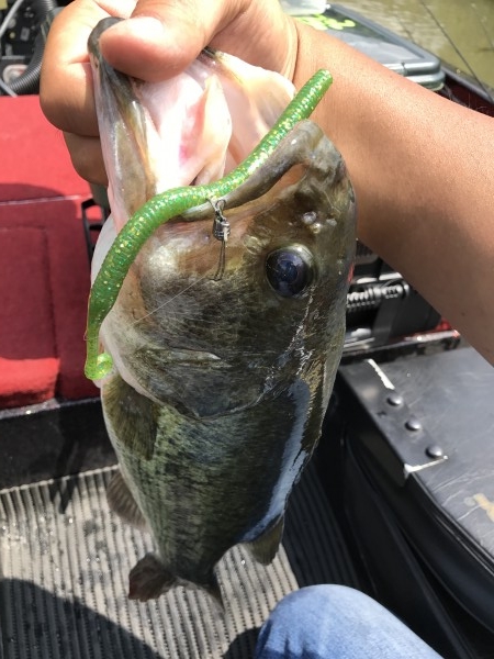 hideup 松本泰明 ブログ写真 2017/06/08