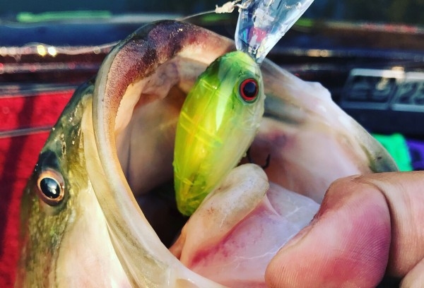 hideup 松本泰明 ブログ写真 2017/11/13