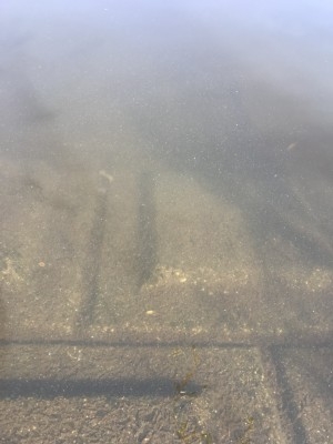 hideup 松本泰明 ブログ写真 2017/10/04