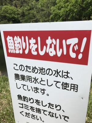 hideup 松本泰明 ブログ写真 2017/05/05