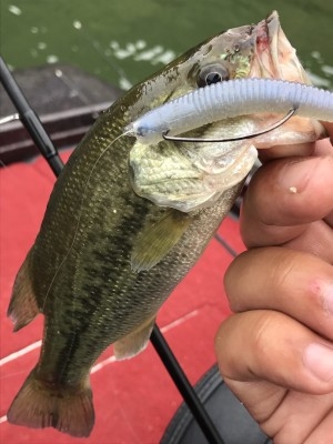 hideup 松本泰明 ブログ写真 2017/06/06