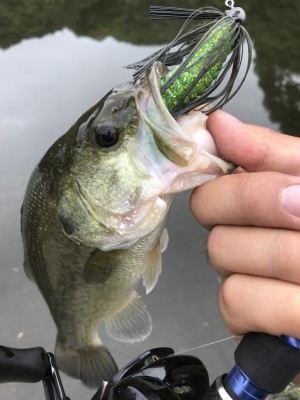 hideup 松本泰明 ブログ写真 2017/10/07