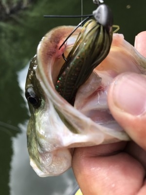 hideup 松本泰明 ブログ写真 2017/08/28