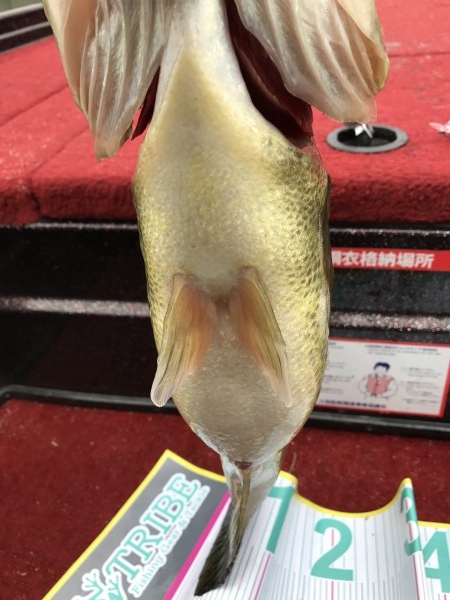 hideup 松本泰明 ブログ写真 2017/04/09