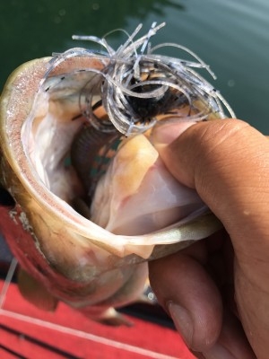 hideup 松本泰明 ブログ写真 2017/08/10