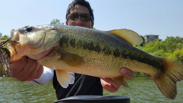 hideup 松本泰明 ブログ写真 2017/04/30