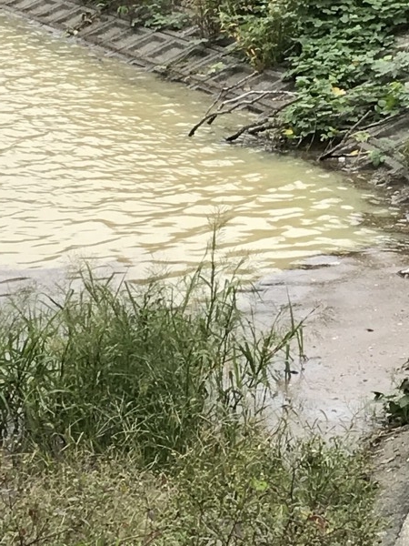 hideup 松本泰明 ブログ写真 2017/10/13