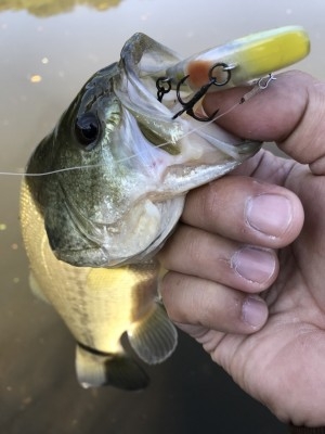 hideup 松本泰明 ブログ写真 2017/11/03