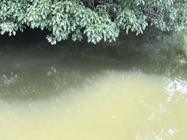 hideup 松本泰明 ブログ写真 2017/08/22