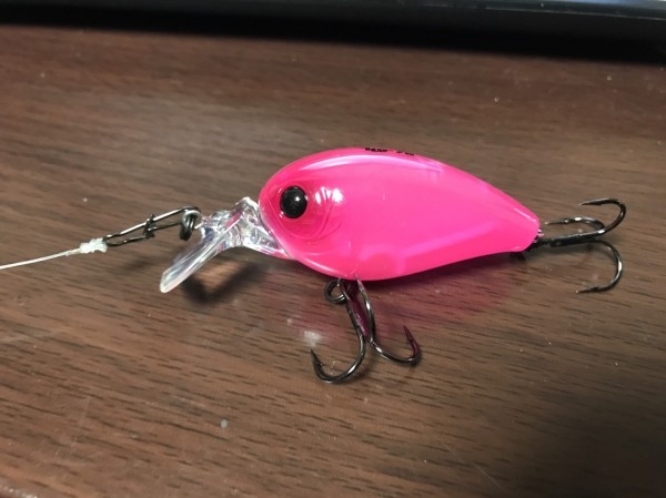 hideup 松本泰明 ブログ写真 2017/04/05