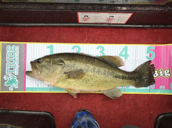 hideup 松本泰明 ブログ写真 2017/04/09