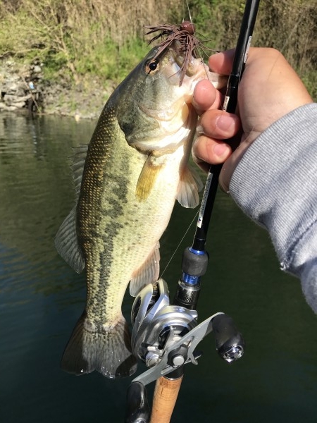 hideup 松本泰明 ブログ写真 2017/05/02