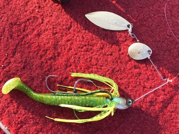 hideup 松本泰明 ブログ写真 2017/09/27