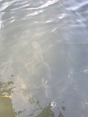 hideup 松本泰明 ブログ写真 2017/11/16