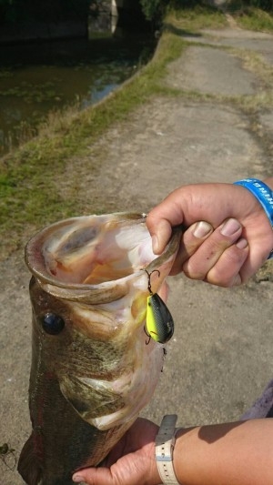 hideup 松本泰明 ブログ写真 2017/06/19