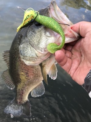 hideup 松本泰明 ブログ写真 2017/11/16