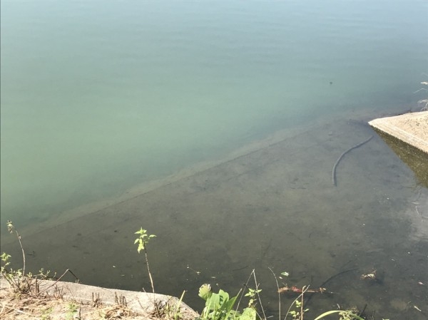 hideup 松本泰明 ブログ写真 2017/10/10