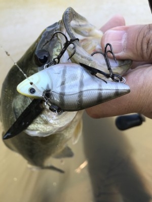 hideup 松本泰明 ブログ写真 2017/11/03