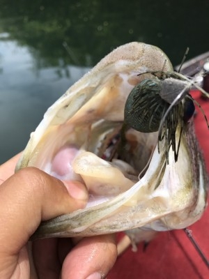 hideup 松本泰明 ブログ写真 2017/04/27