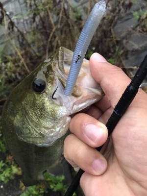 hideup 松本泰明 ブログ写真 2017/09/11