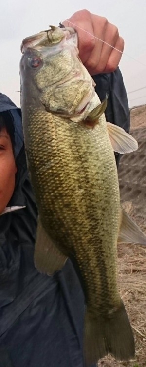 hideup 松本泰明 ブログ写真 2017/03/15