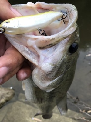 hideup 松本泰明 ブログ写真 2017/05/09