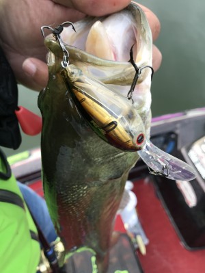 hideup 松本泰明 ブログ写真 2017/03/28