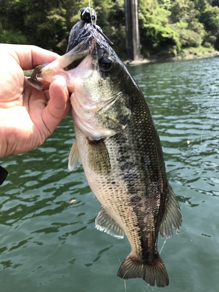 hideup 松本泰明 ブログ写真 2017/05/02