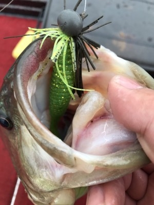 hideup 松本泰明 ブログ写真 2017/02/05