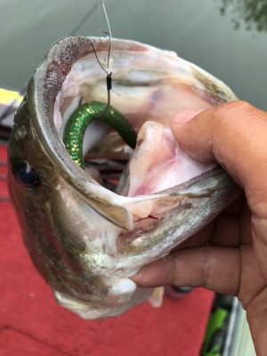 hideup 松本泰明 ブログ写真 2017/06/22