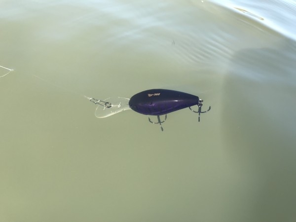 hideup 松本泰明 ブログ写真 2017/10/27