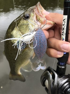 hideup 松本泰明 ブログ写真 2017/09/15