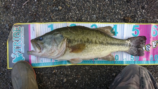 hideup 松本泰明 ブログ写真 2017/05/11