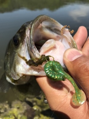 hideup 松本泰明 ブログ写真 2017/04/28