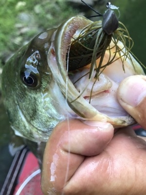 hideup 松本泰明 ブログ写真 2017/08/17