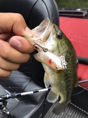 hideup 松本泰明 ブログ写真 2017/07/24