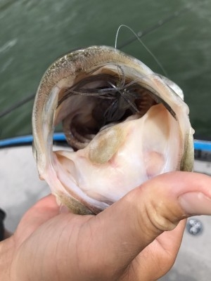 hideup 松本泰明 ブログ写真 2017/07/27