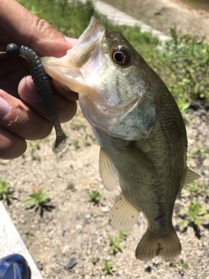 hideup 松本泰明 ブログ写真 2017/05/05