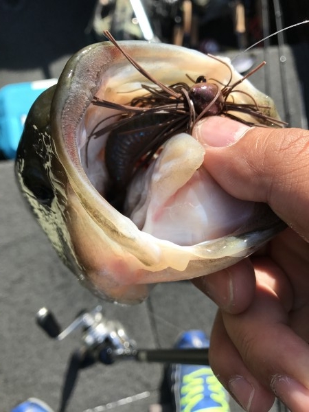 hideup 松本泰明 ブログ写真 2017/05/02