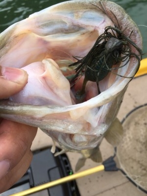 hideup 松本泰明 ブログ写真 2017/07/07