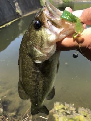 hideup 松本泰明 ブログ写真 2017/04/28