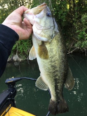 hideup 松本泰明 ブログ写真 2017/04/19