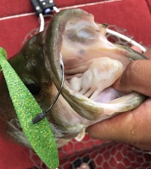 hideup 松本泰明 ブログ写真 2017/07/10