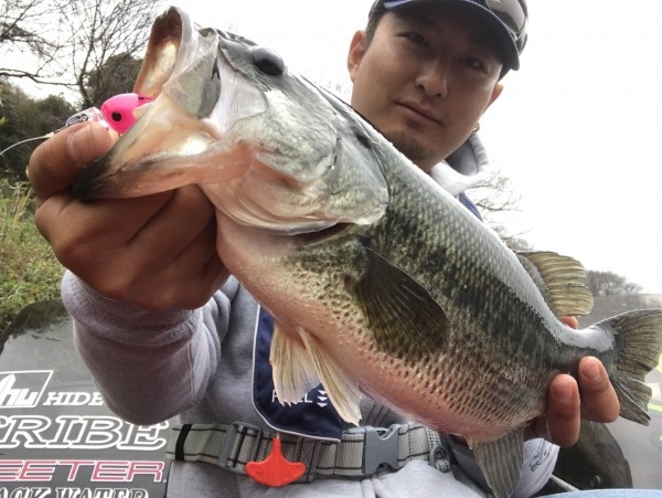 hideup 松本泰明 ブログ写真 2017/04/05