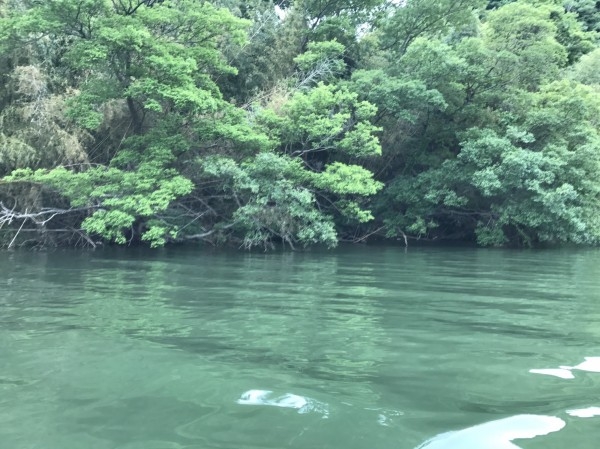 hideup 松本泰明 ブログ写真 2017/06/06